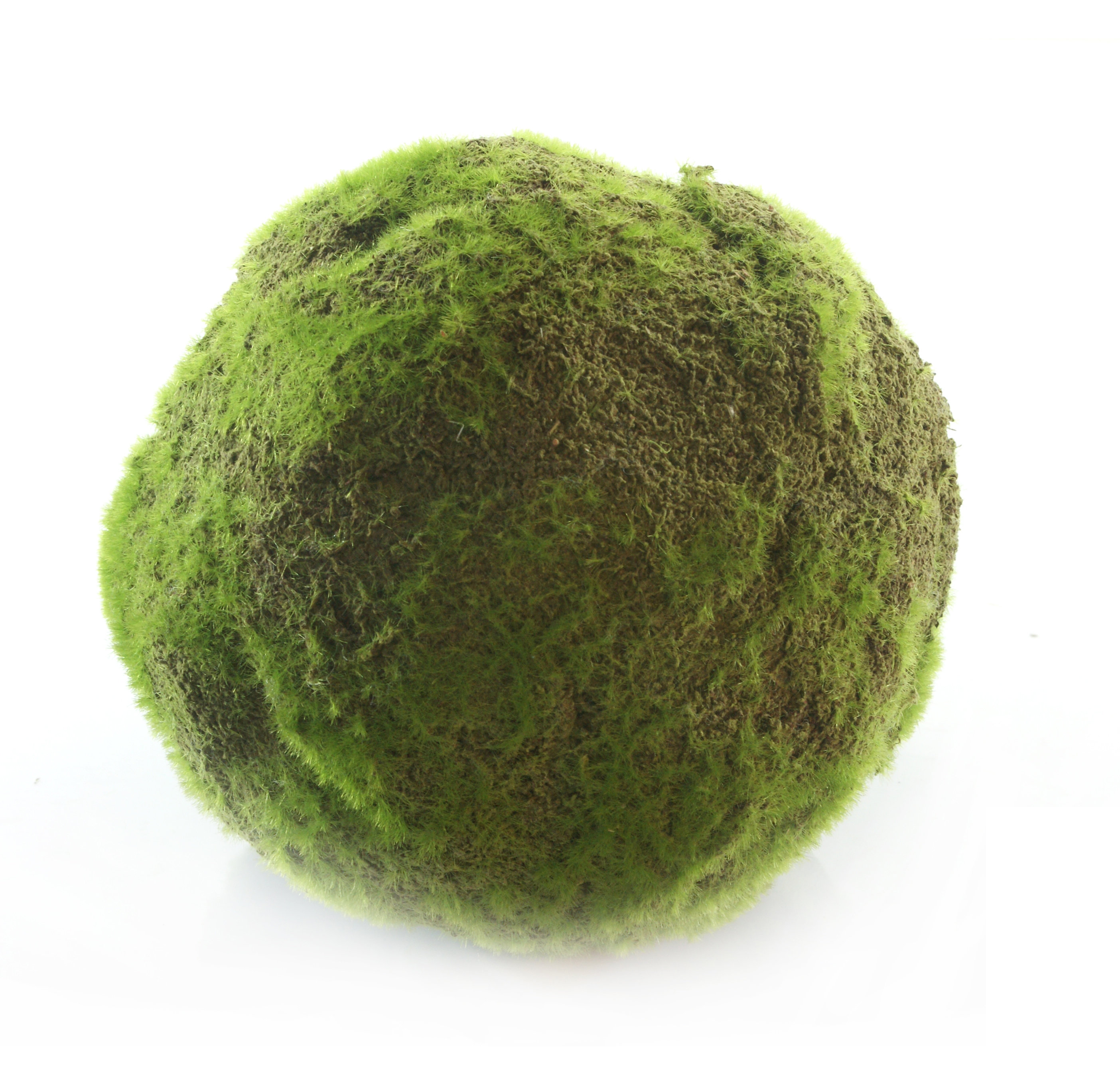 Gold Eagle Usa Decorative Moss Ball Wayfair