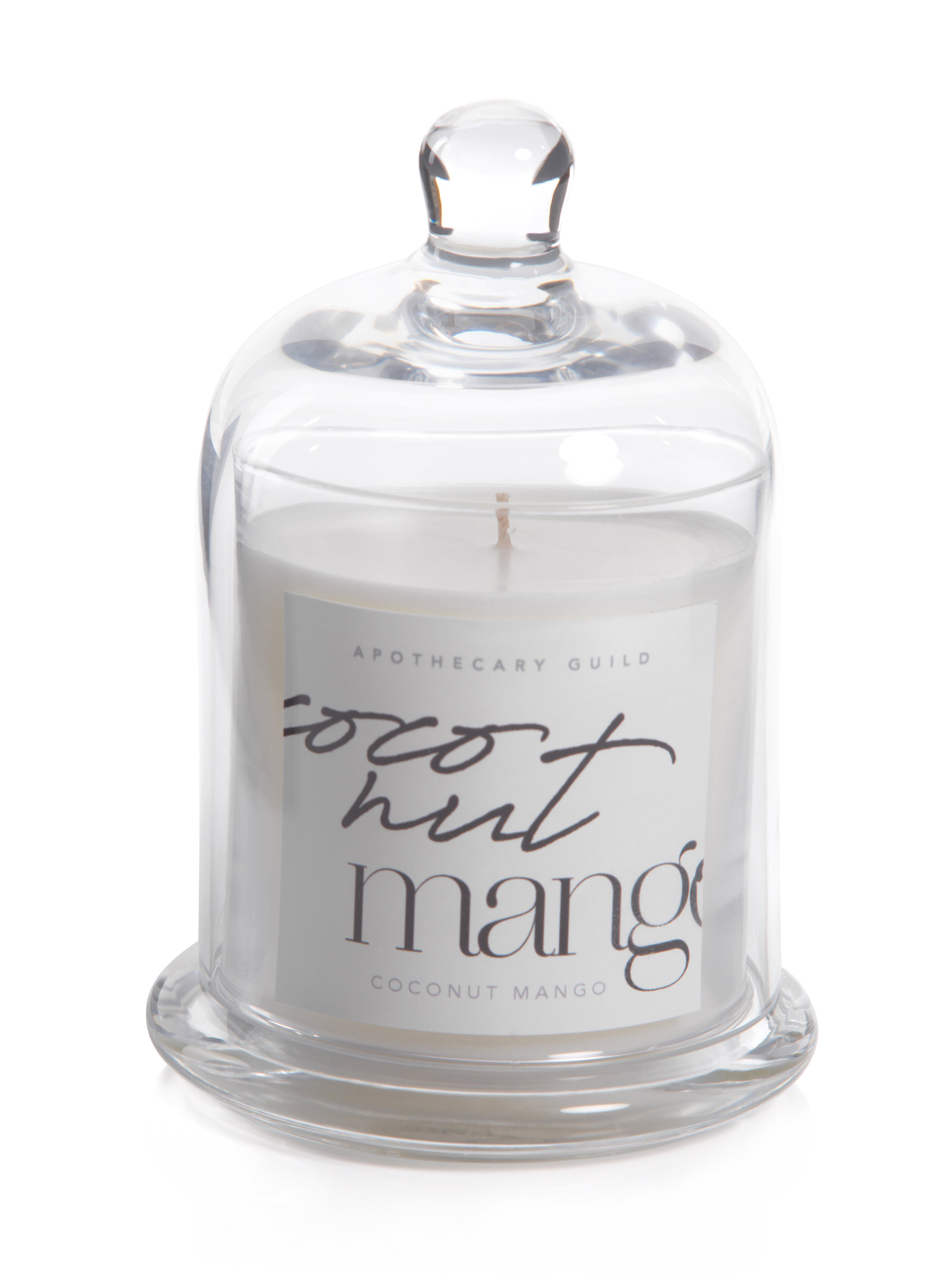 Zodax Coconut Mango Scented Jar Candle Wayfair