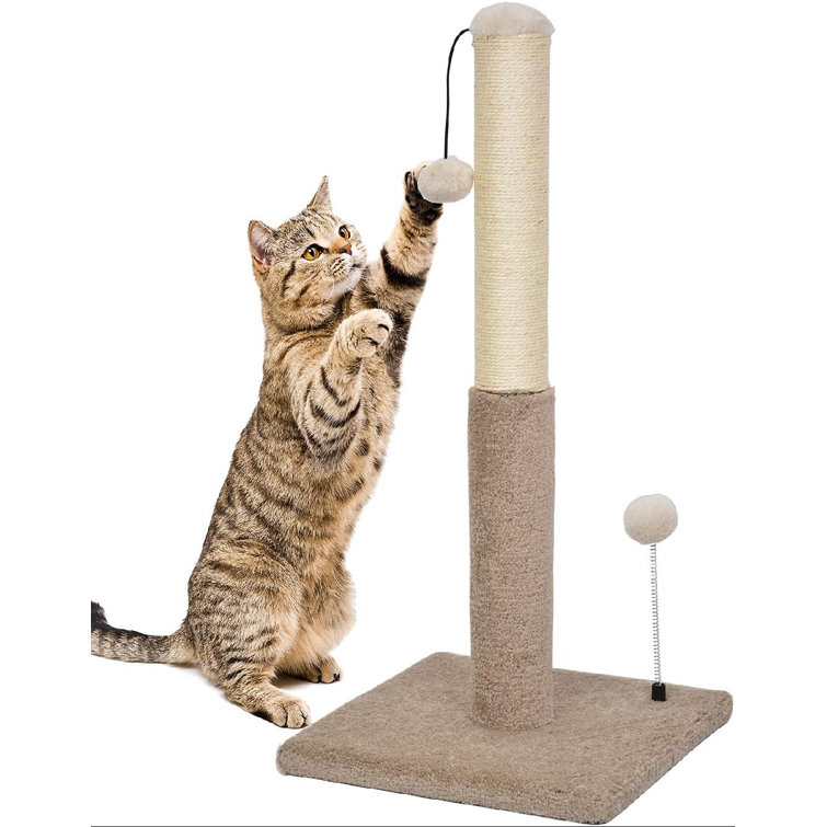 tall cat scratching post