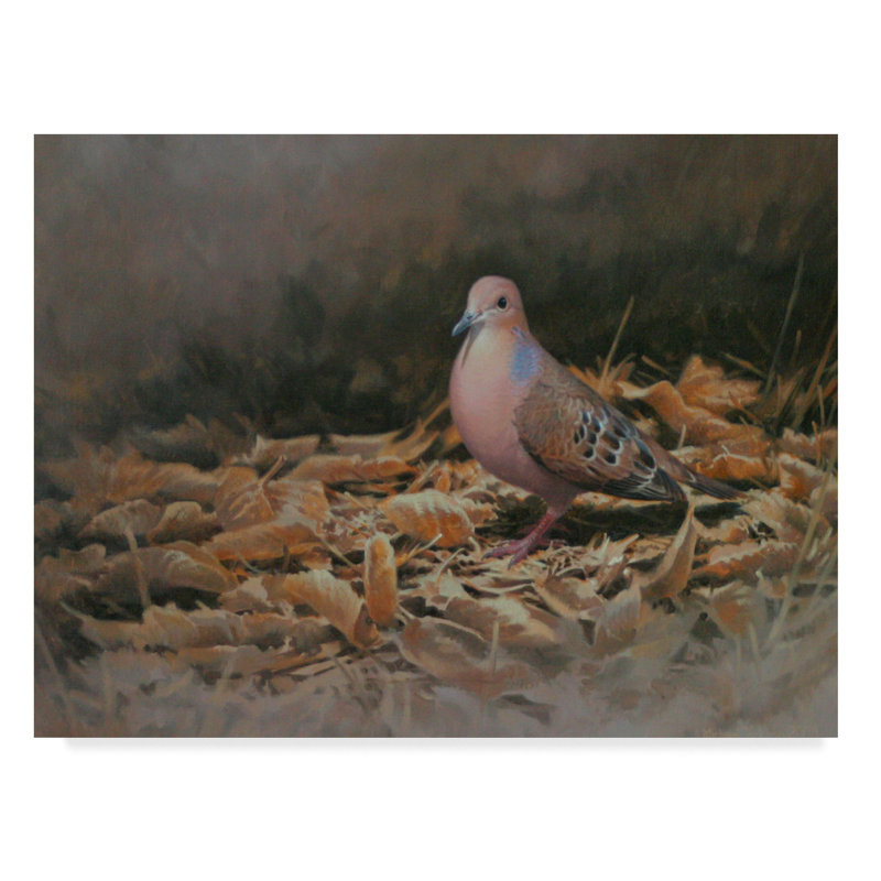 World Menagerie Mourning Dove Acrylic Painting Print On Wrapped