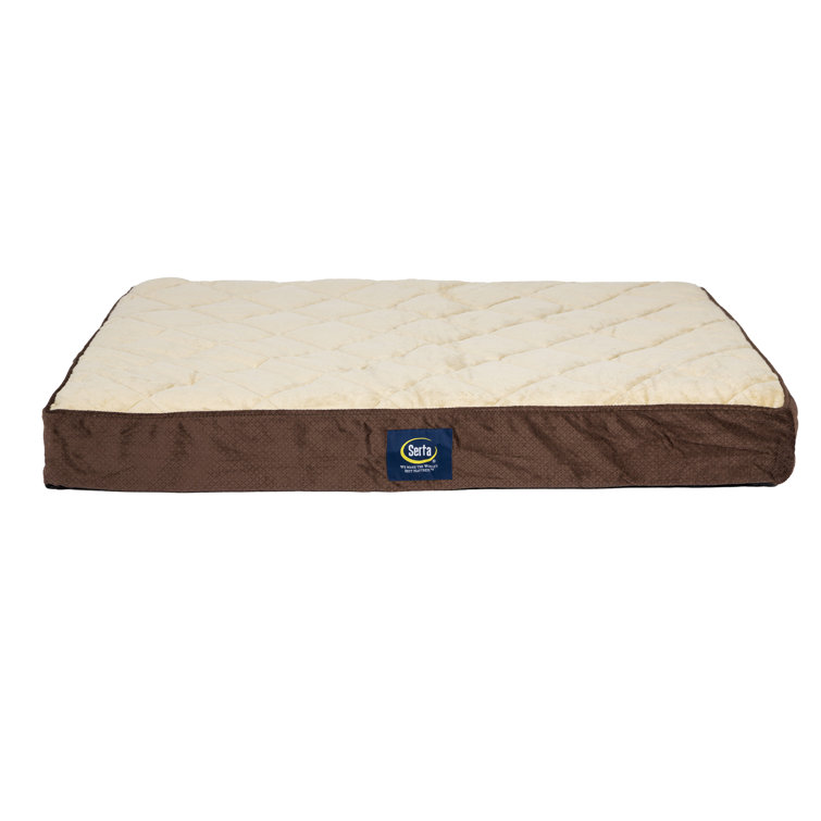 serta dog bed