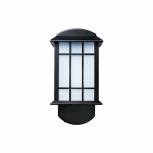 Clarine 1-Light Outdoor Wall Lantern