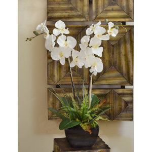Fern and Foliage Orchid Floral Arrangement in Vase