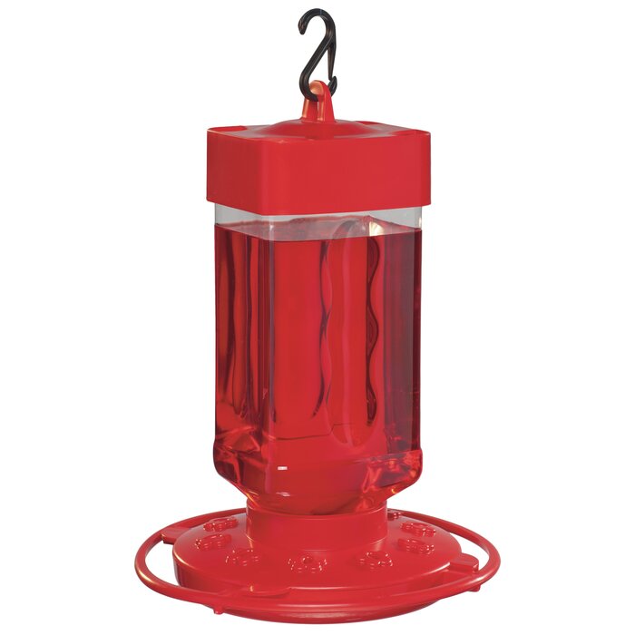 First Nature Hummingbird Feeder Wayfair Ca