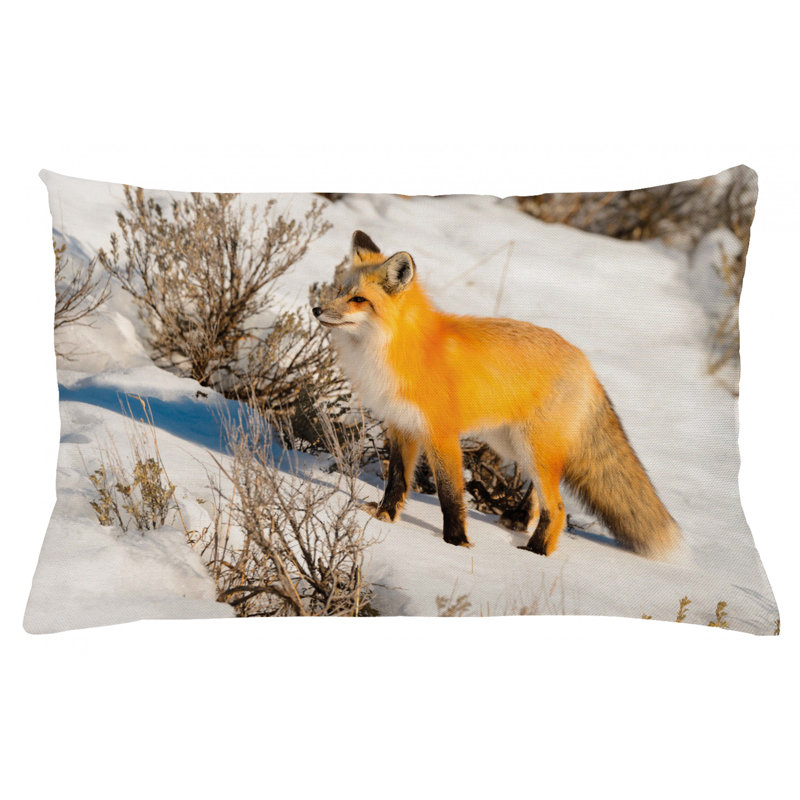 Wayfair fox pillow clearance