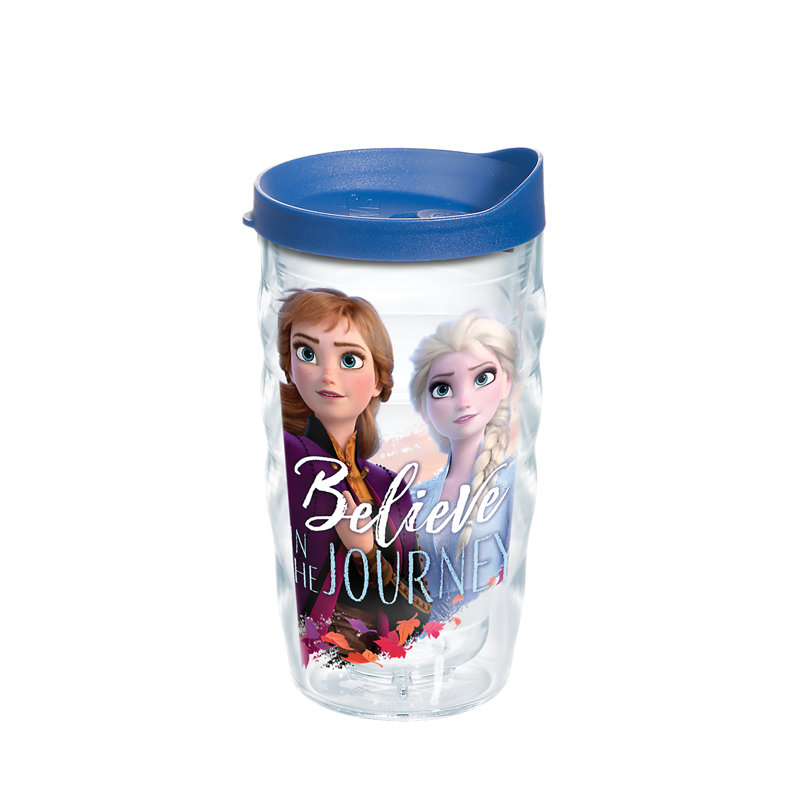 disney tervis