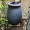August Grove® Bournon 50 Gallons Gal. Plastic Dual Overflow Rain Barrel ...