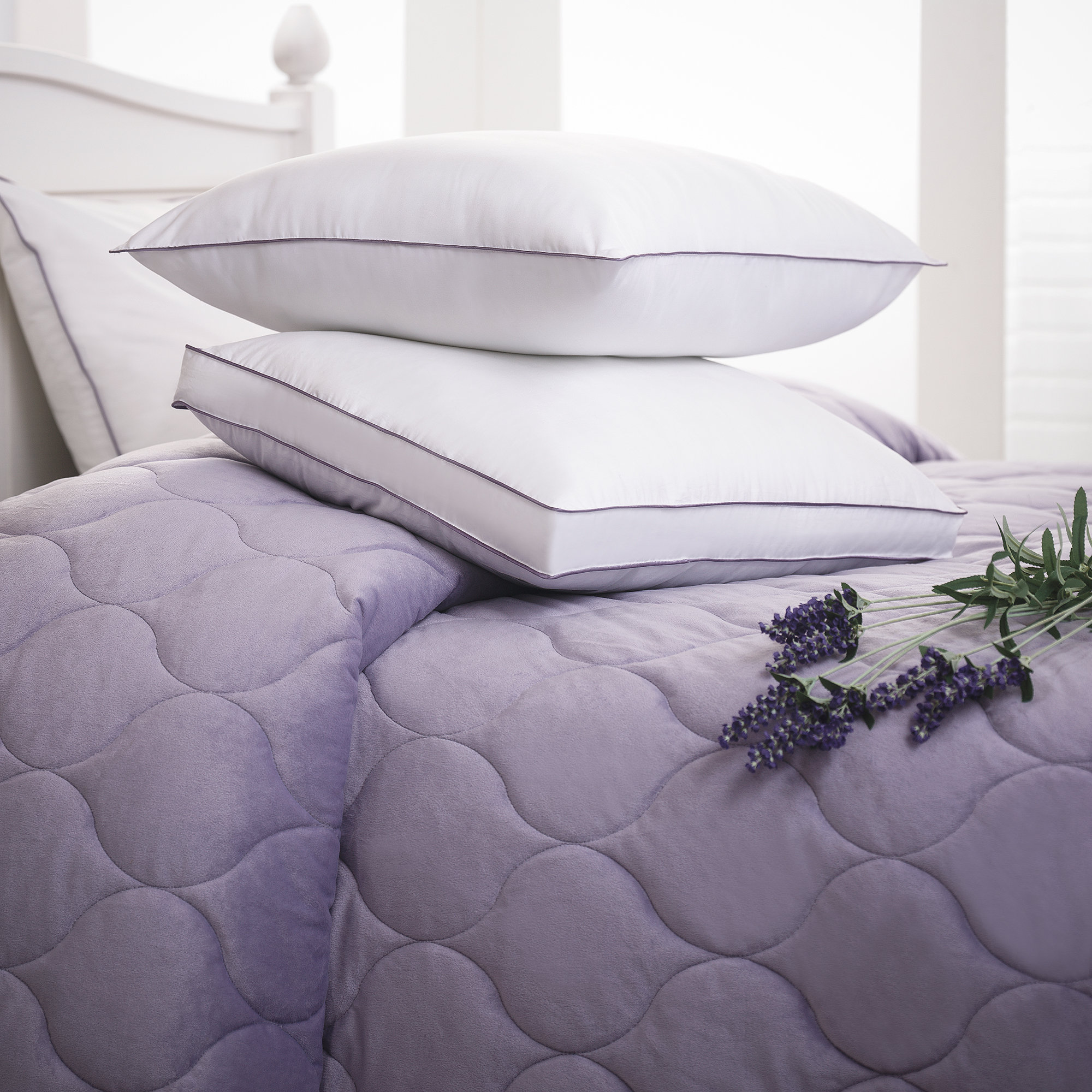 Alwyn Home Powers Aromatherapy Lavender Scented Medium Down