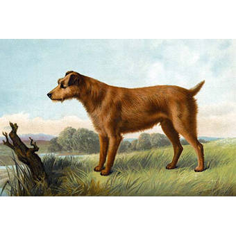 East Urban Home Terriers Painting Print On Wrapped Canvas Wayfair