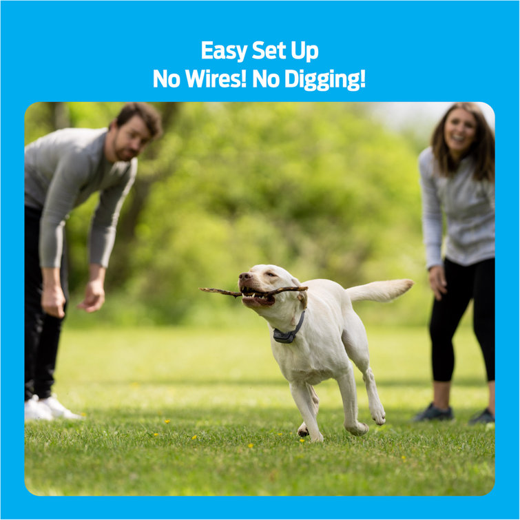 premier pet wireless fence