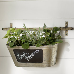 Wall Planters Vertical Gardens You Ll Love Wayfair Stella Wall Planter
