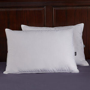 Down and Feathers Pillow (Set of 2) by Puredown