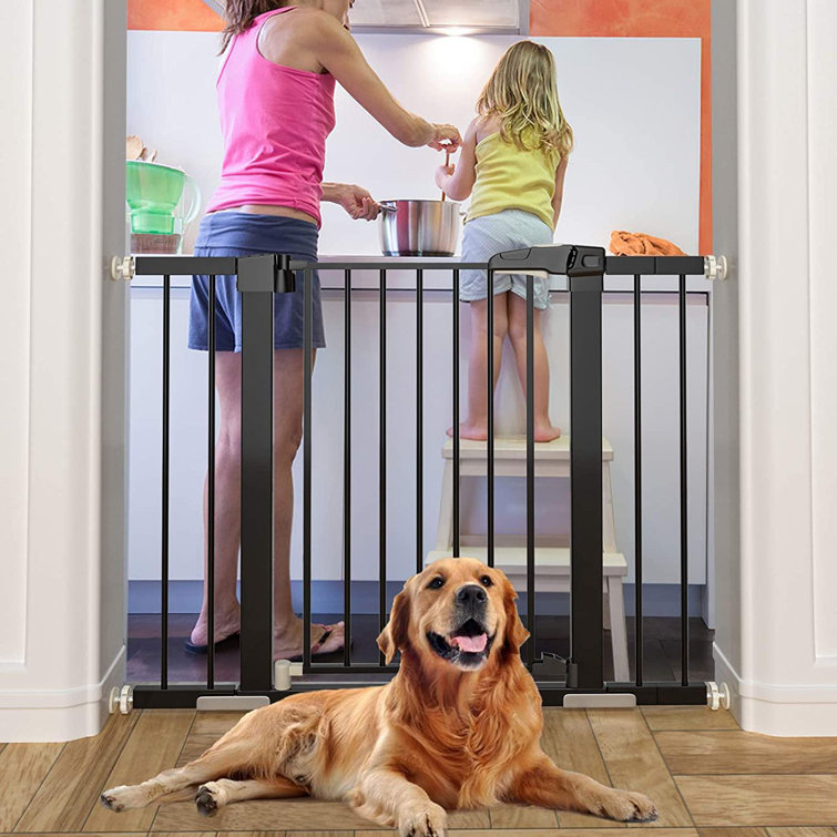 extra wide walk through gate