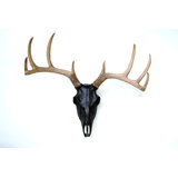Modern Contemporary Cow Skull Wall Decor Allmodern