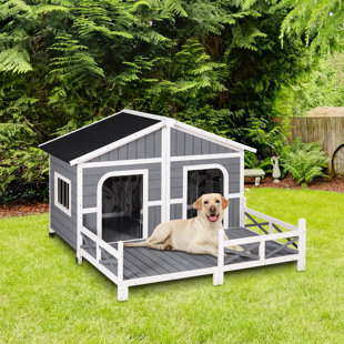 Indoor Soft Dog House Wayfair
