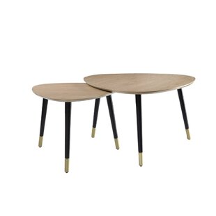 Marame 2 Piece Coffee Table Set by Mercer41