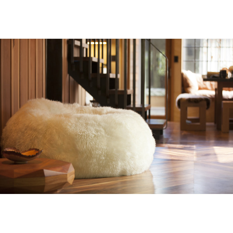 Pure Rugs Patagonia Sheepskin Standard Classic Bean Bag Wayfair
