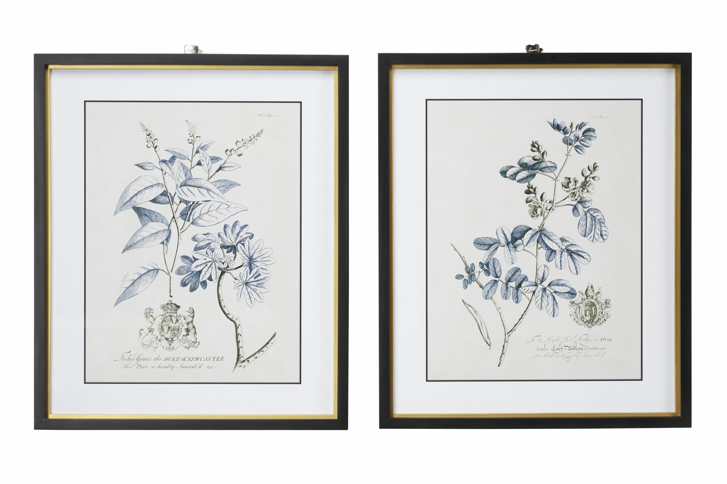 Gracie Oaks Large Rectangular Blue Vintage Flower Illustrations Framed Wall Art Set Of 2 20 X 24 Each Reviews Wayfair
