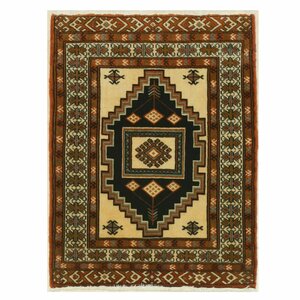 Turkman Hand-Knotted Brown/Ivory Area Rug