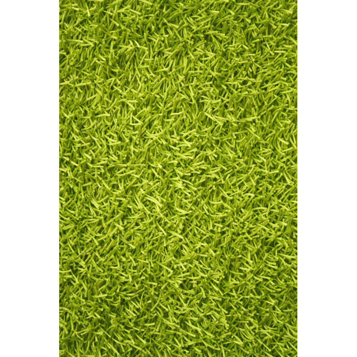 Le House Sara Hand Woven Lime Green Area Rug Reviews Wayfair Ca Sara Hand Woven Lime Green Area Rug