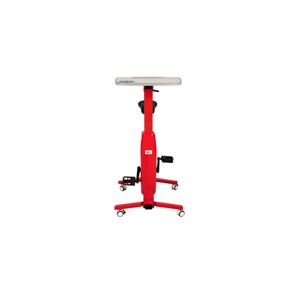 wayfair stationary bike