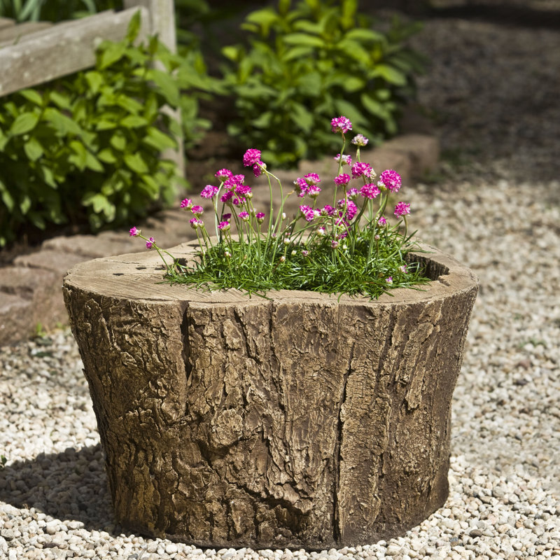 Campania International, Inc Cast Stone Pot Planter | Wayfair