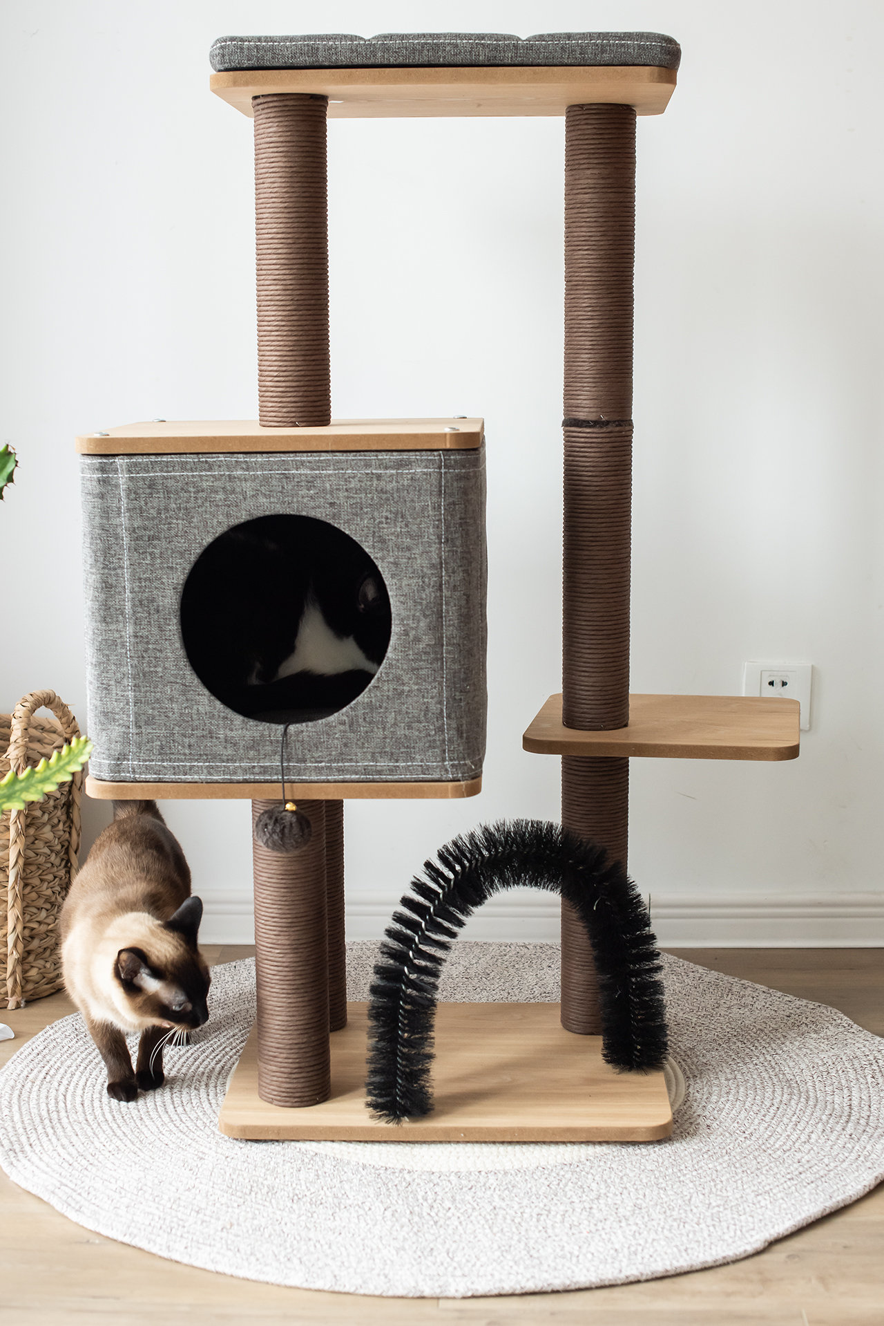 used cat tree