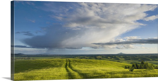 'Grassy Meadow, Palouse Washington' Photographic Print