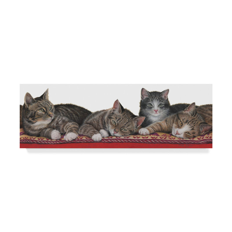 Trademark Art Tabbies White Background Acrylic Painting Print On Wrapped Canvas Wayfair