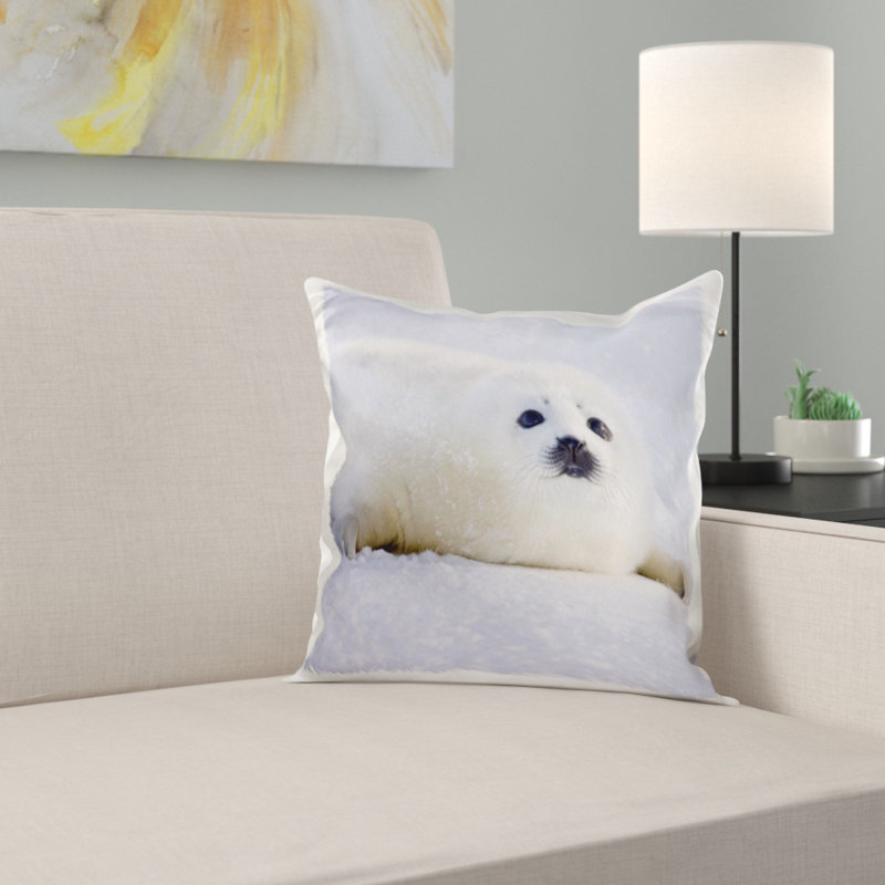 East Urban Home Harp Seal Pup Iles De La Madeleine Quebec