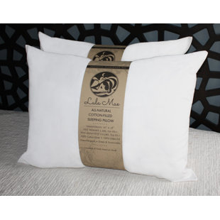 Lula Mae Mgm Grand At Home Bed Pillows You Ll Love Wayfair