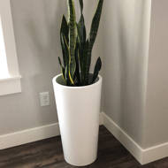 Winston Porter Frausto Plastic Pot Planter Wayfair