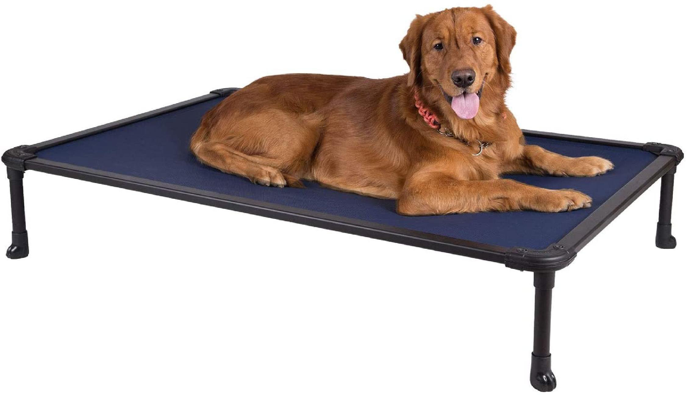chew proof raised dog bed