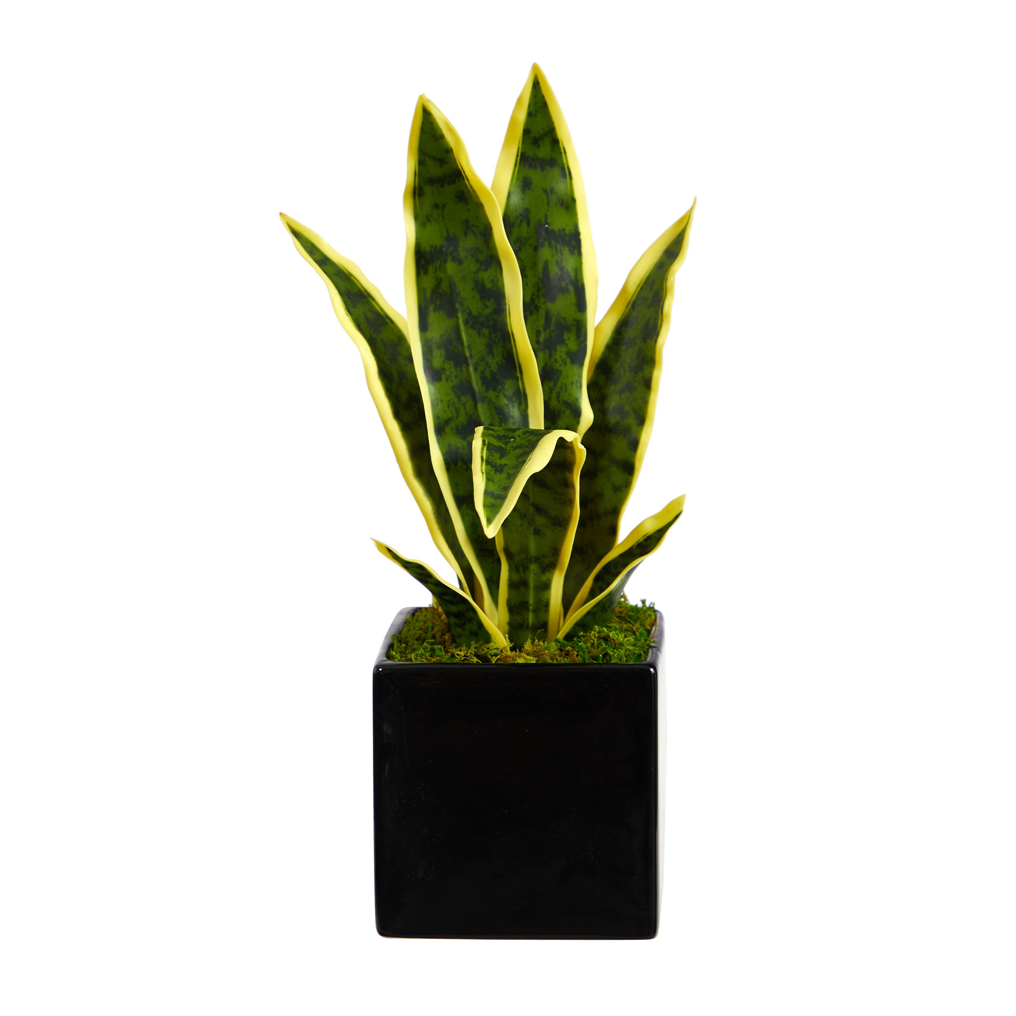 Primrue 16'' Faux Snake Plant in Ceramic Planter Wayfair