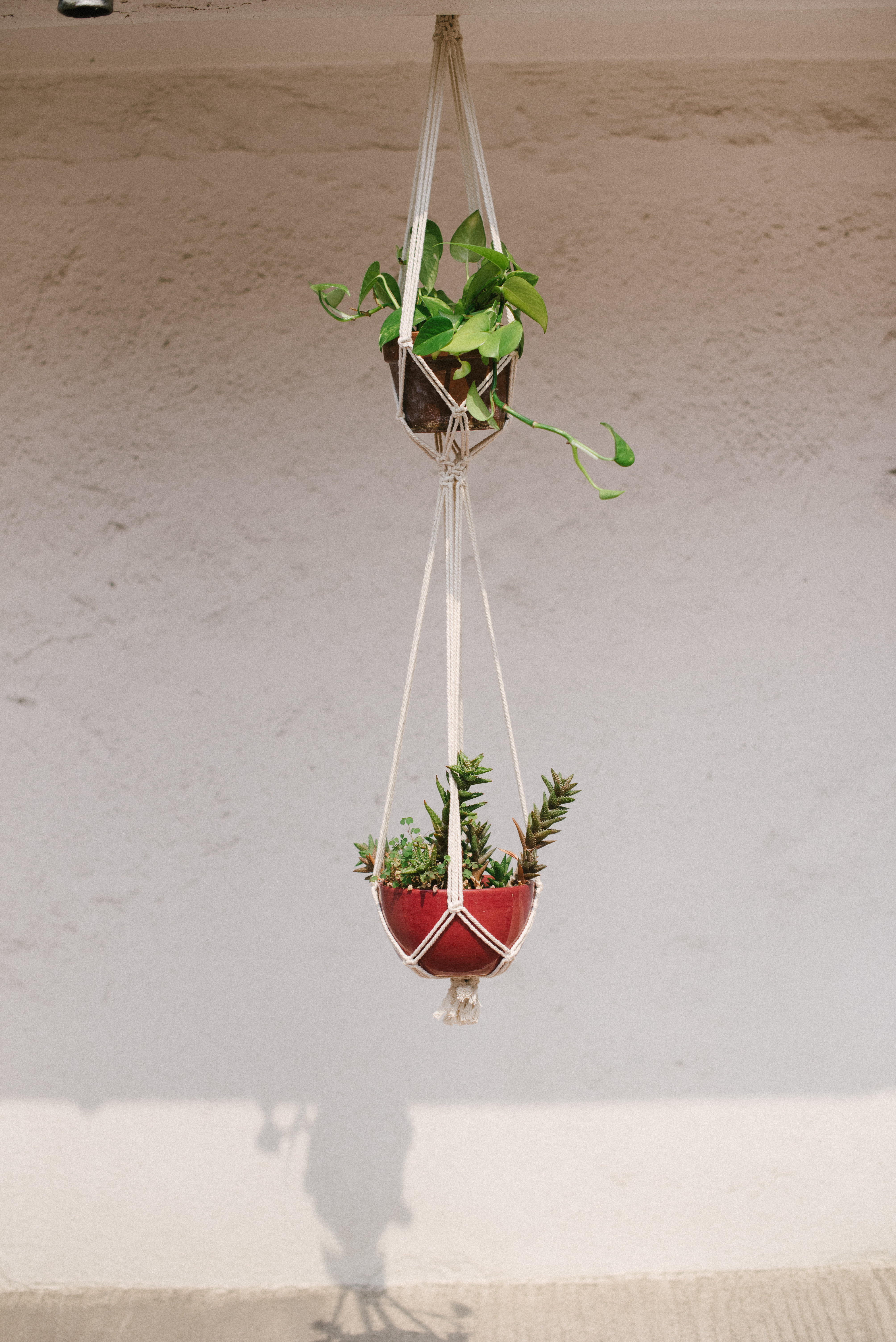 wayfair standing planter on Dakota Fields Leticia Cotton Hanging Planter Wayfair