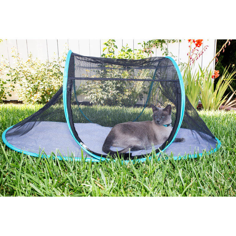 collapsible cat enclosure