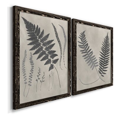 Vintage Fern Study IIPremium Framed Print - Ready To Hang Bay Isle Home™ Format: Black Framed Canvas, Matte Color: No Matte, Size: 31.5