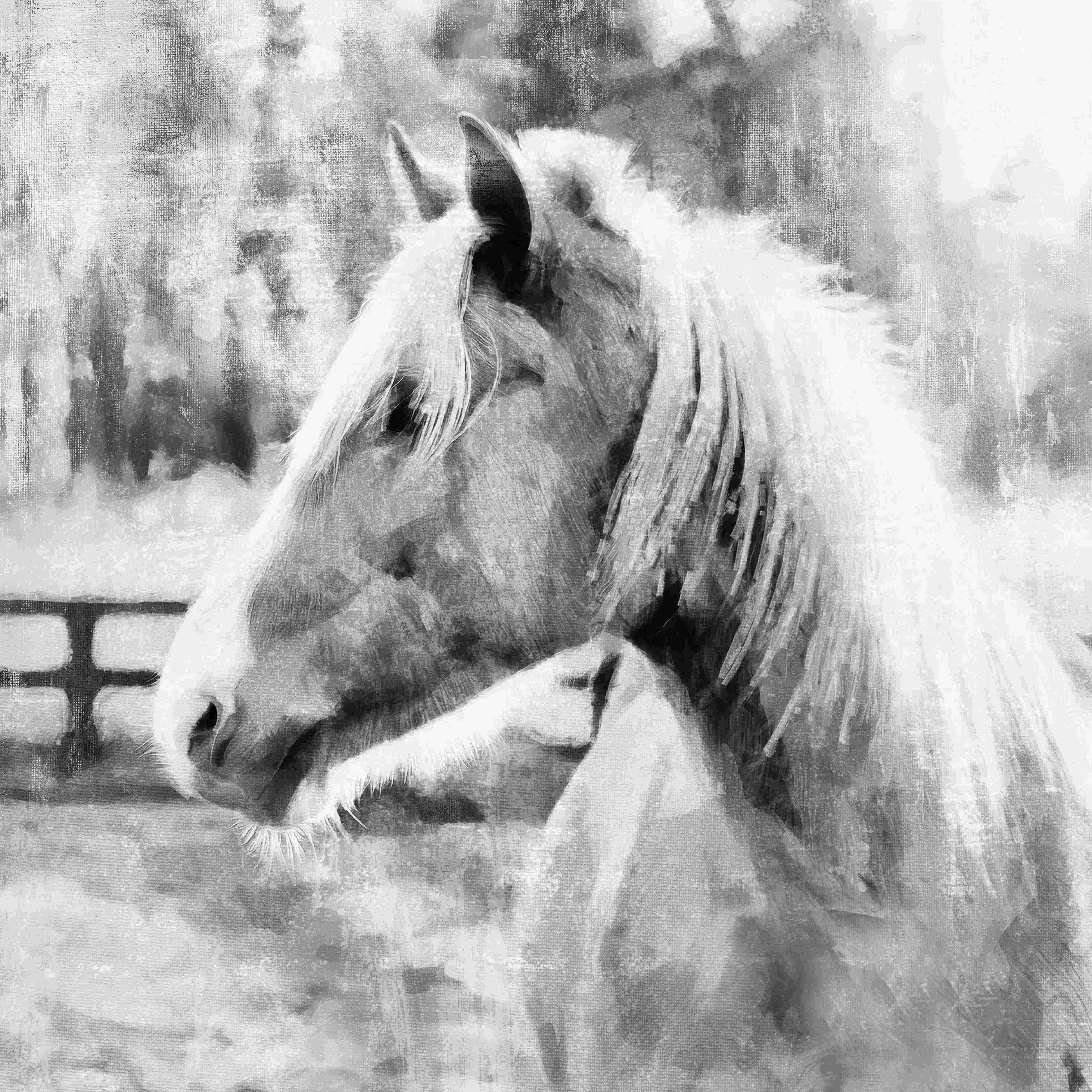 August Grove® Painted Horse Wrapped Canvas Print Wayfair