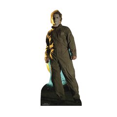 Halloween Michael Myers Wayfair