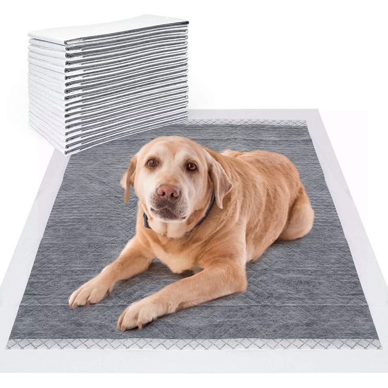 charcoal wee wee pads