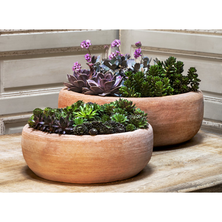 Alidis 2 Pieces Terracotta Pot Planter Set