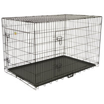 large black dog crate