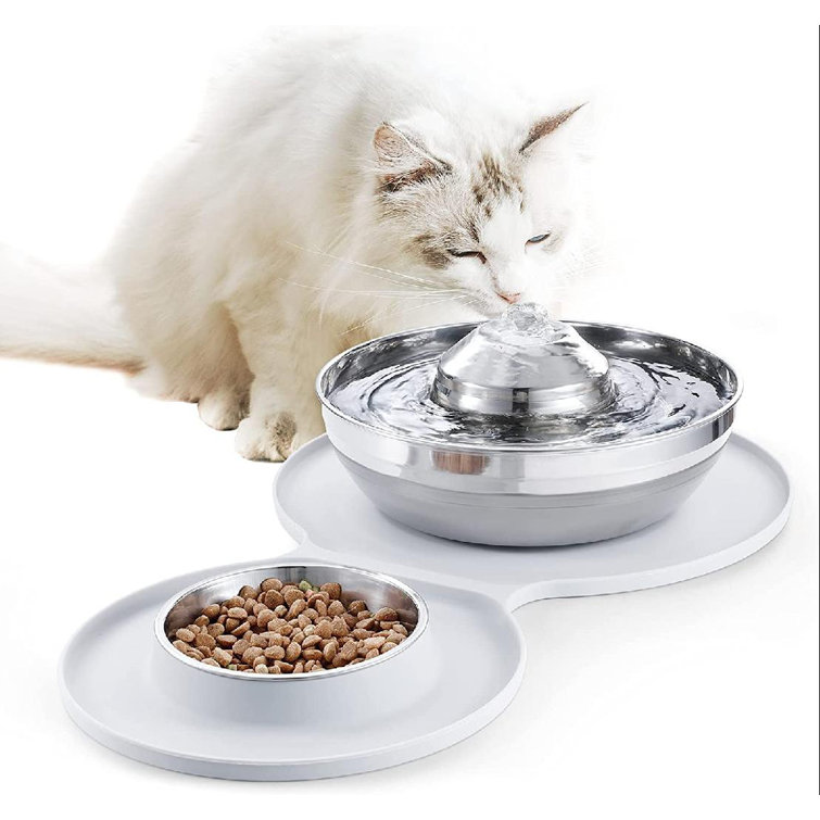 cat drinking bowl
