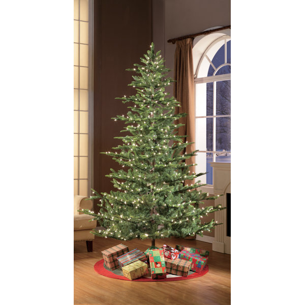 Pre Lit Aspen Green Fir Artificial Christmas Tree With Clear White Lights Reviews Joss Main
