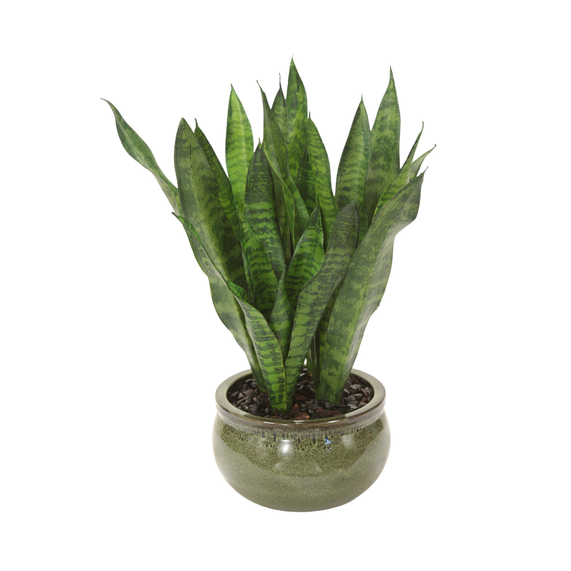 Primrue 25'' Faux Snake Plant in Porcelain Planter Wayfair
