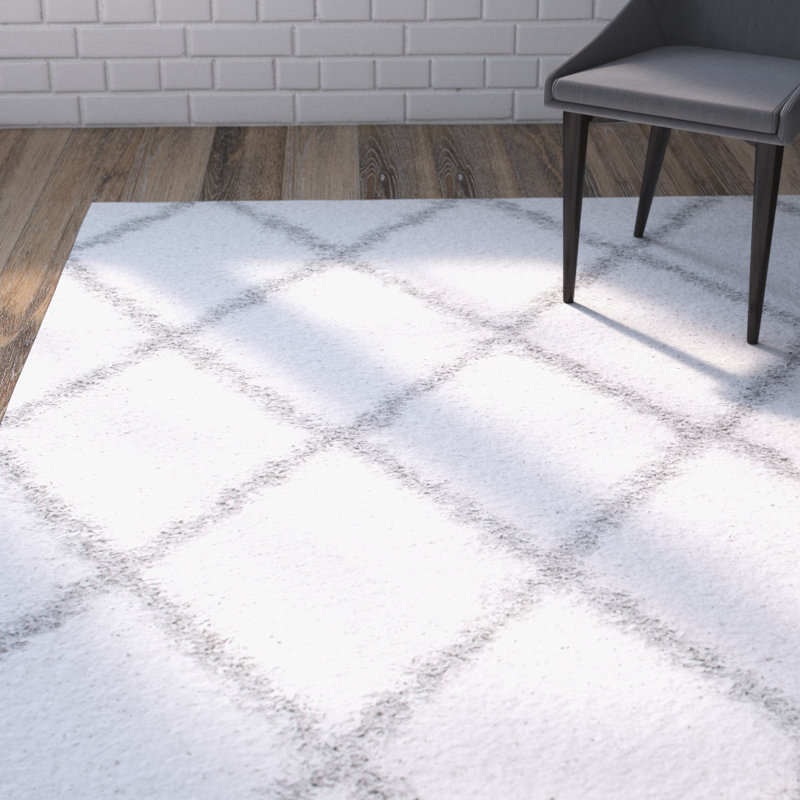 Varick Gallery Bohman OffWhite/White Area Rug & Reviews Wayfair.ca