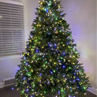 Omnia Christmas 2022 Omnia 7.5' Green Fir Artificial Christmas Tree With 1500 Color & Clear  Lights & Reviews | Birch Lane