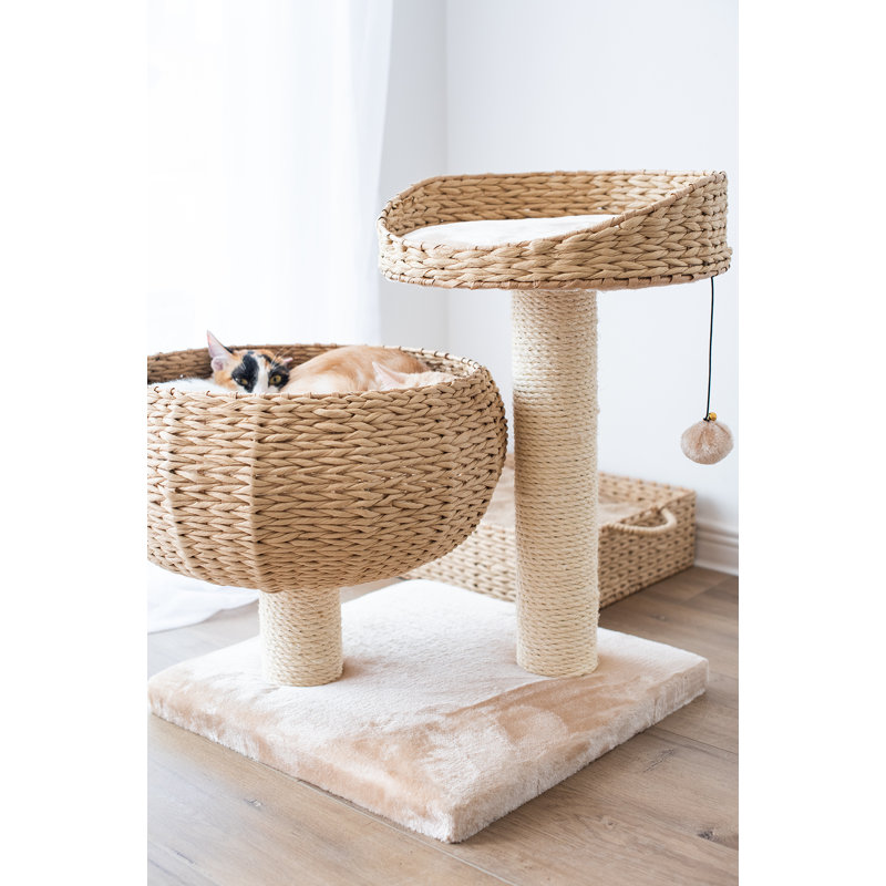 cat tree with wicker basket