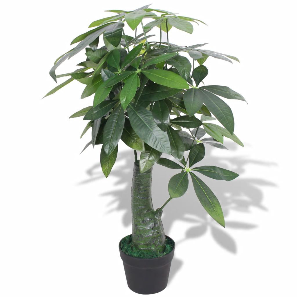 fortune tree