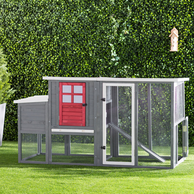 Duchess Door Hen House Ii Chicken Coop With Roosting Bar